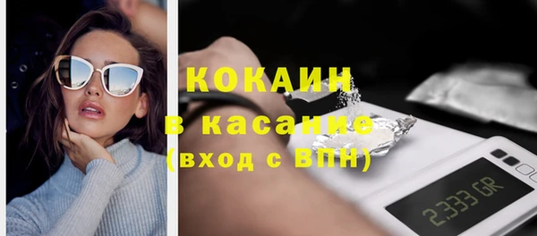сатива Арсеньев