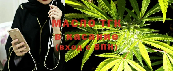 гидра Аркадак