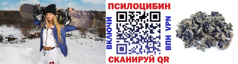 хочу наркоту  Урус-Мартан  ссылка на мегу ссылка  Псилоцибиновые грибы мицелий 