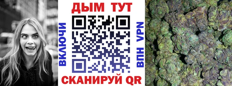 Каннабис семена  Урус-Мартан 